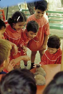 MECC: Middle East Artifact